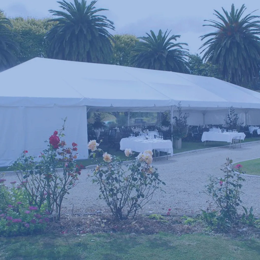 Work by Absolute Party Hire