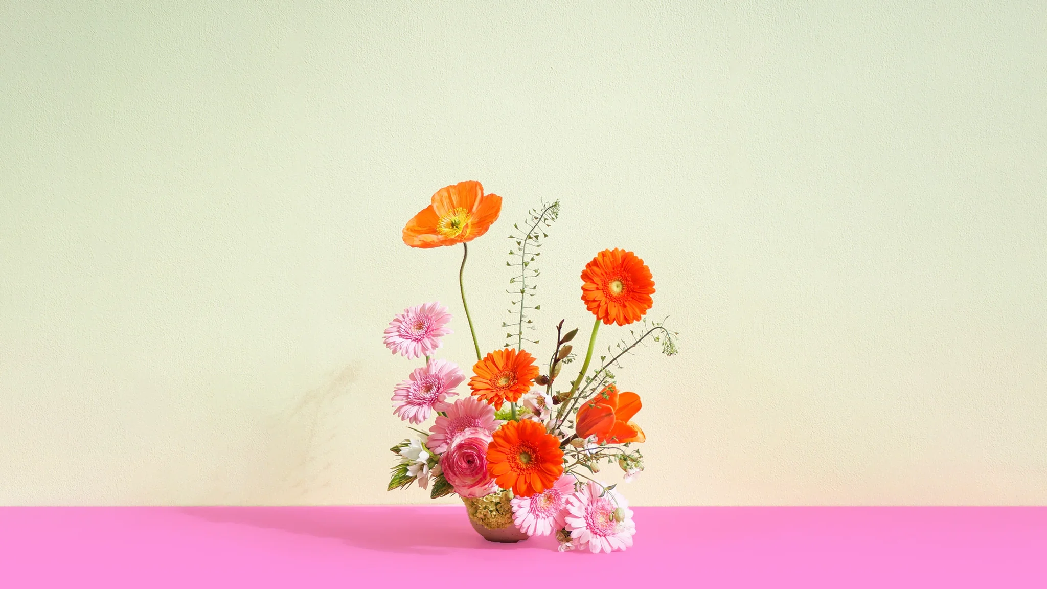 Flore Studios, Florists in Invercargill