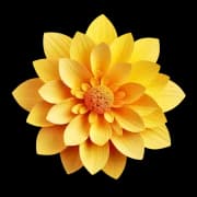 Expressions Floral logo
