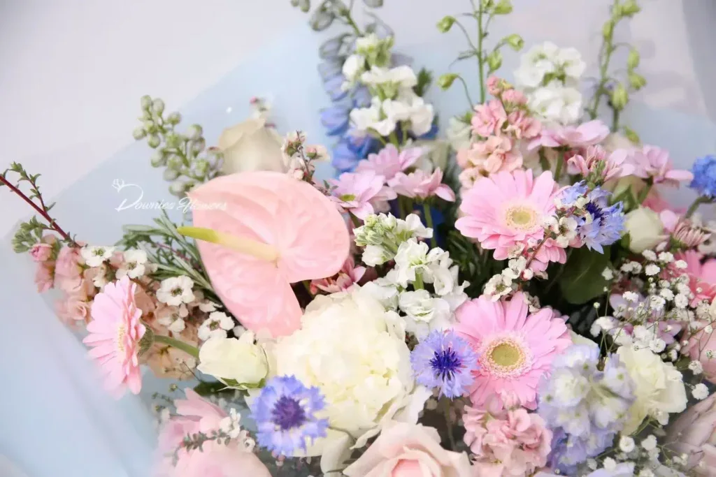 Downies Flowers