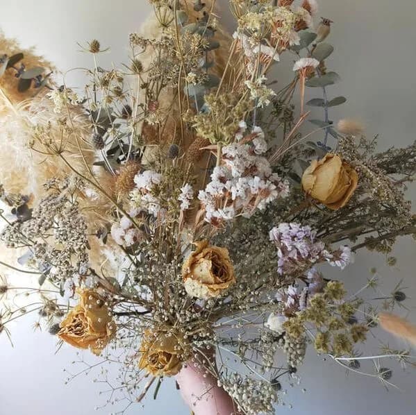 Wild and Bloom
