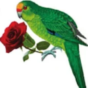 Kakariki Flowers logo
