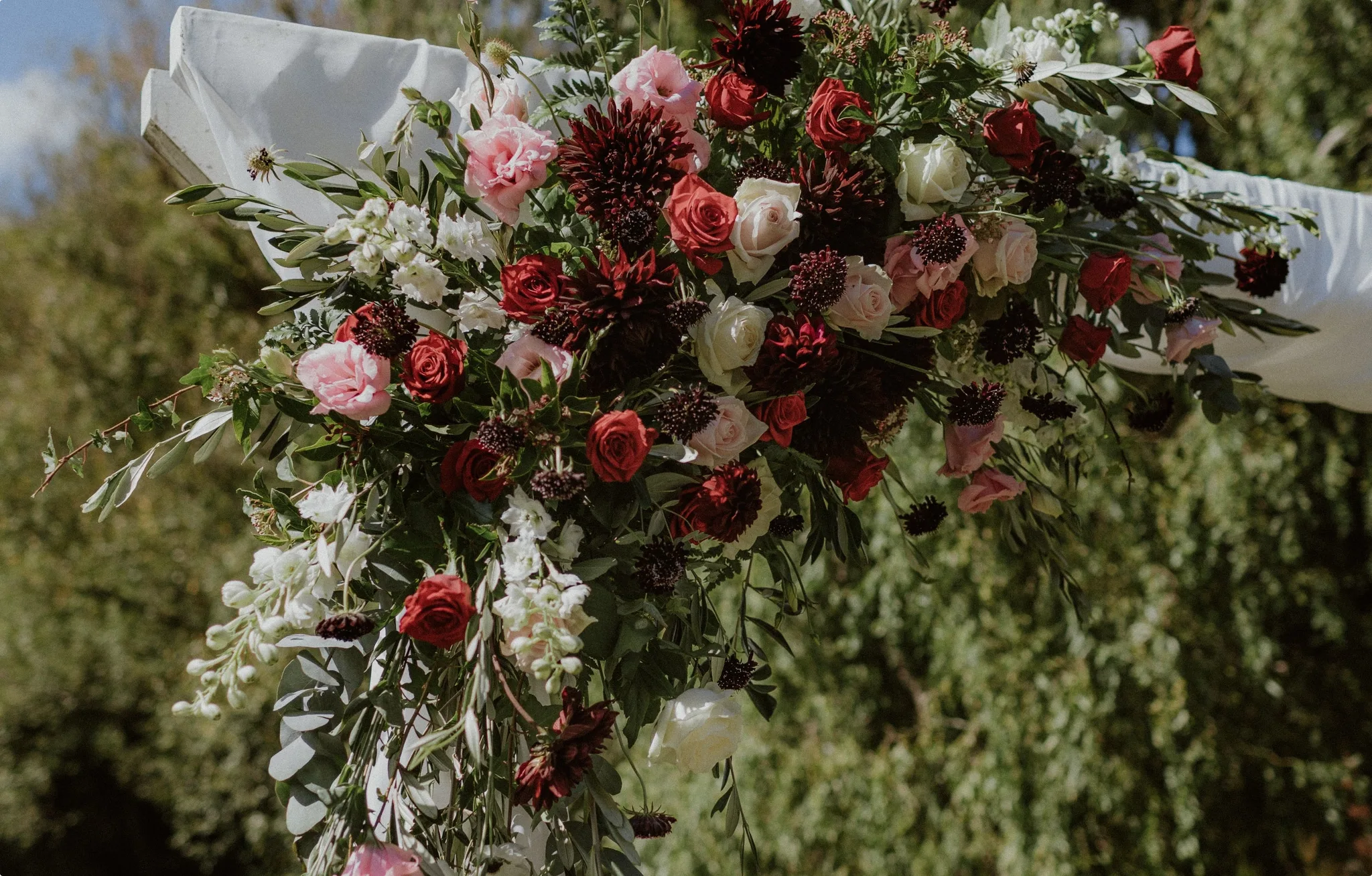 Flowers Rediscovered