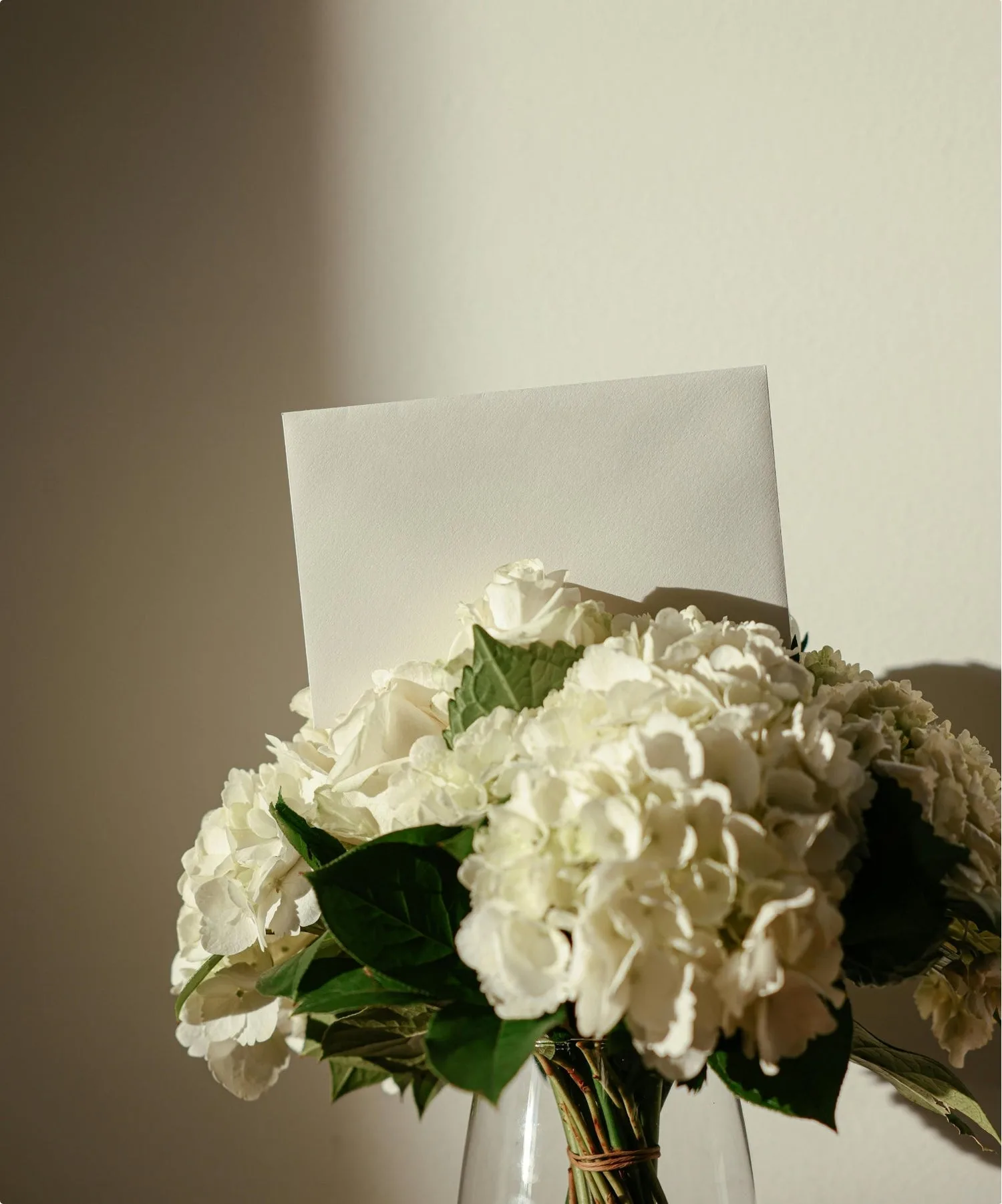 Flowers Rediscovered