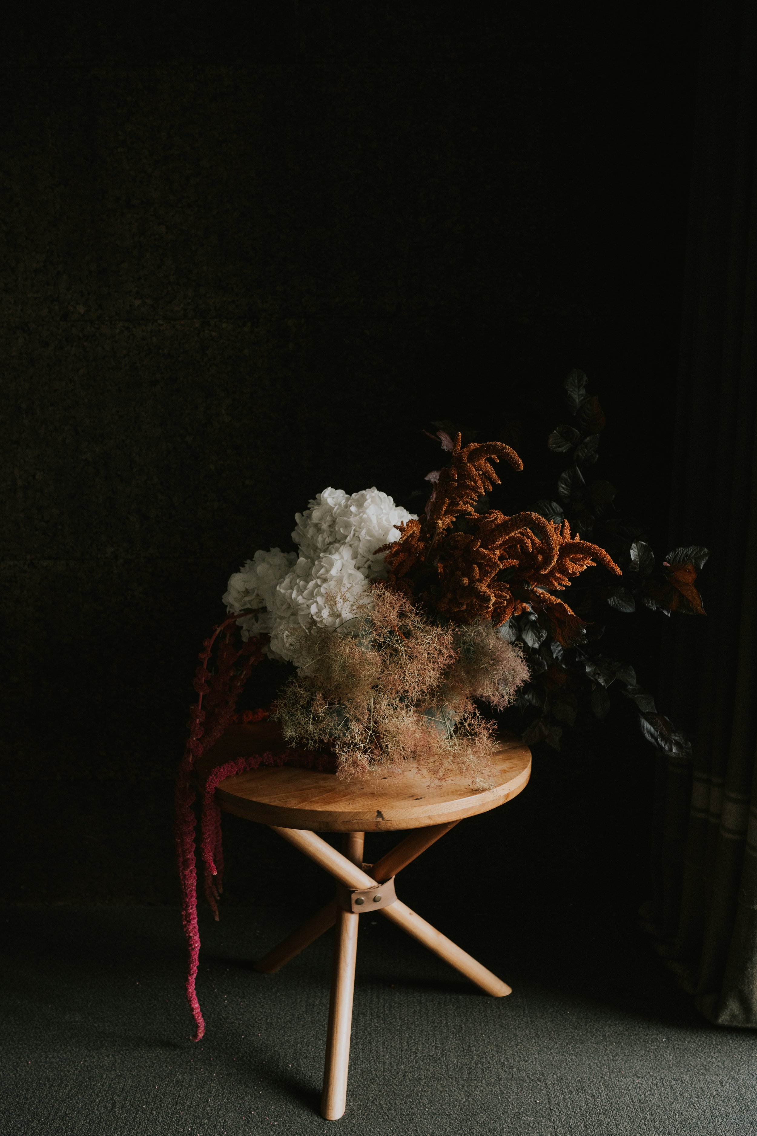 Little Botanica cover photo