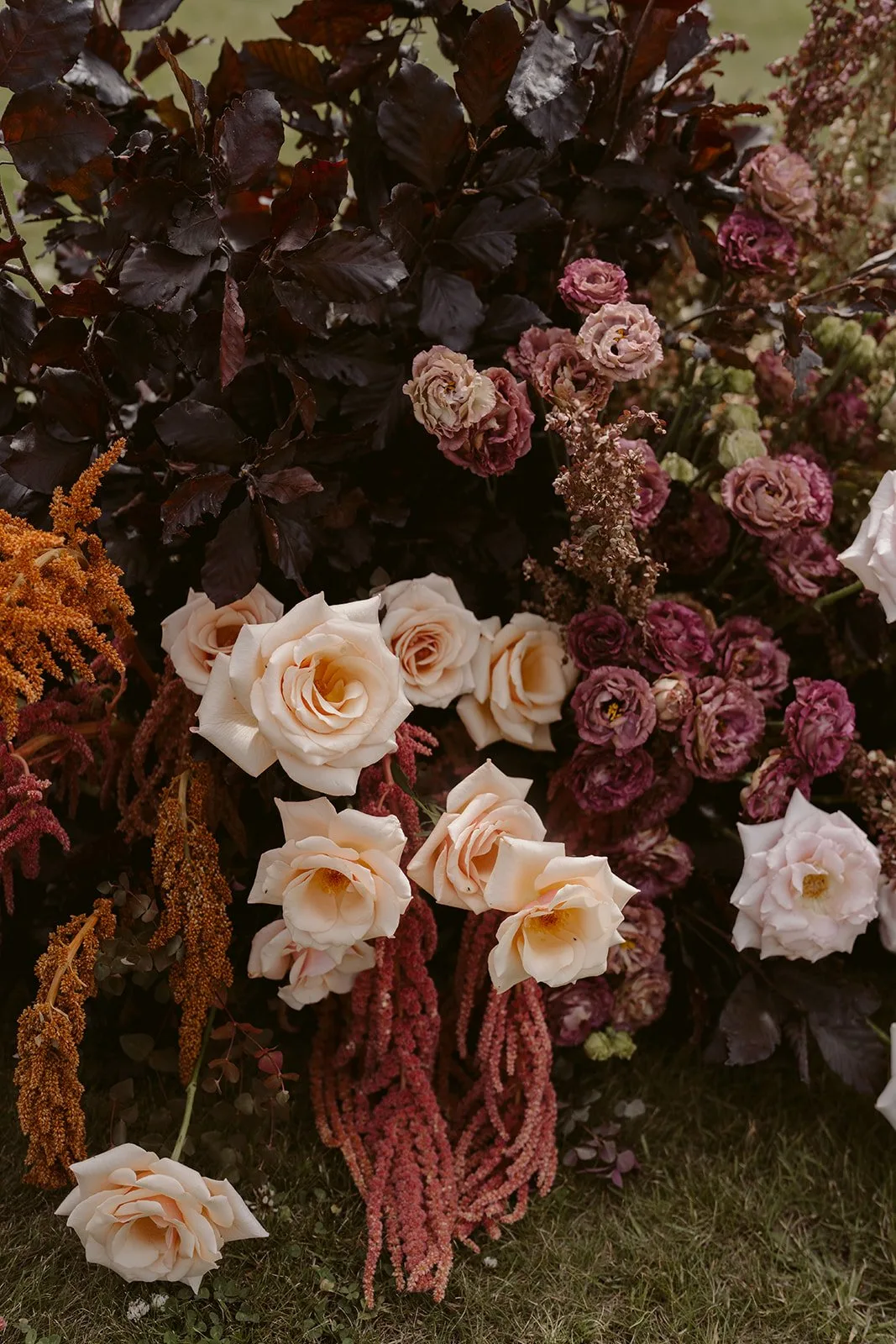 Little Botanica