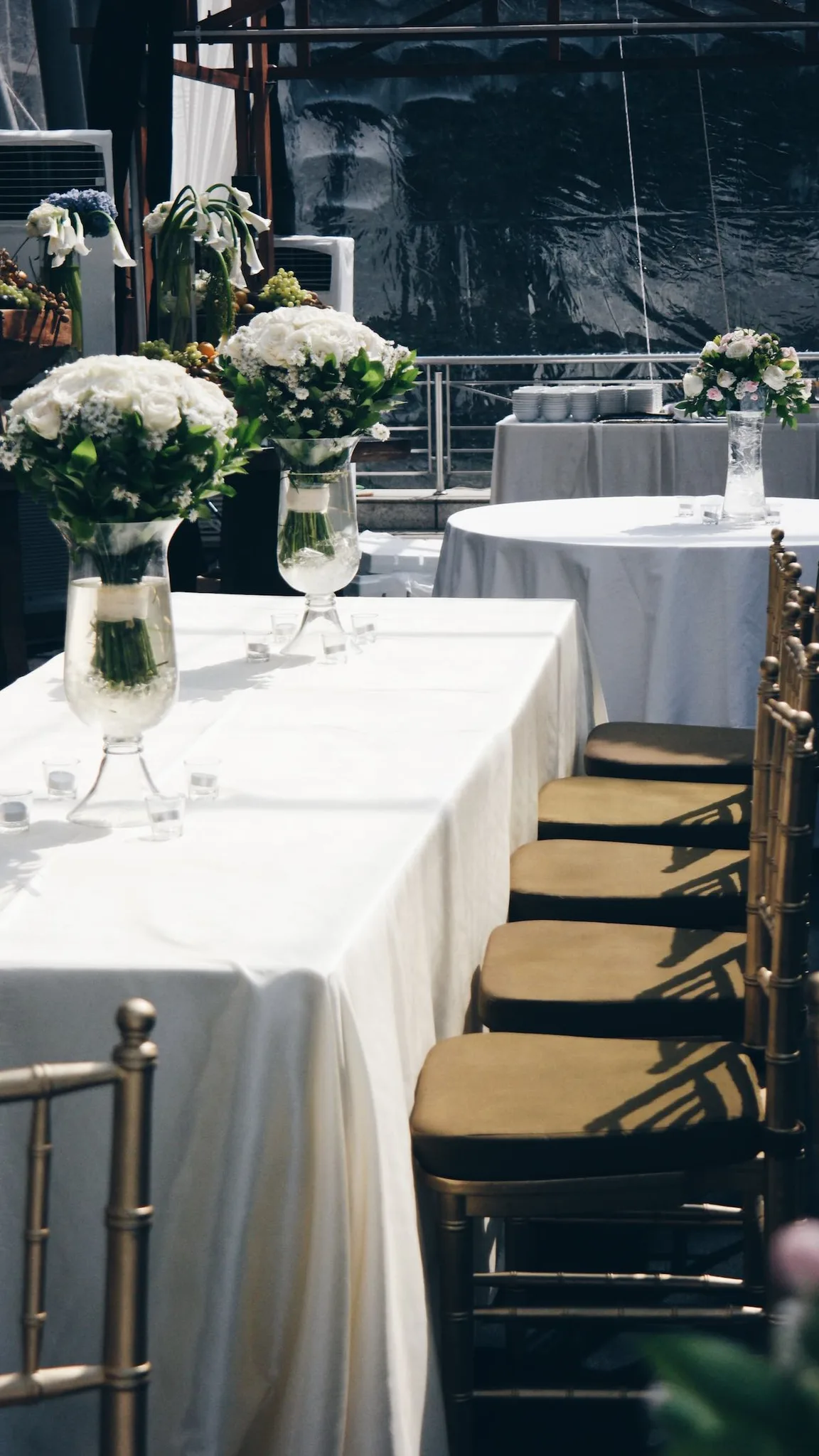 Party Hire Auckland