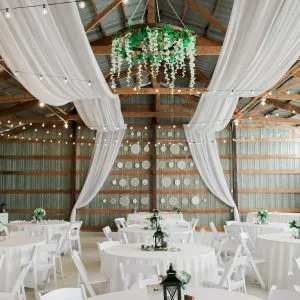 Party Hire Auckland