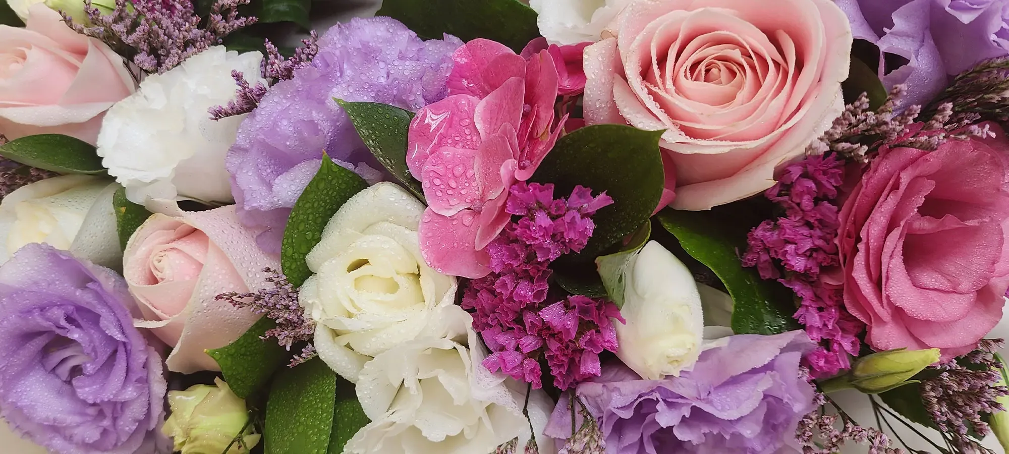 Black Rose Florist Porirua