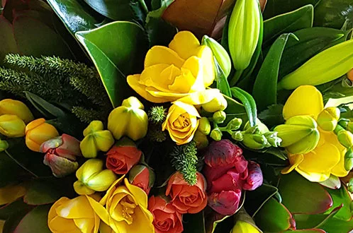 Black Rose Florist Porirua