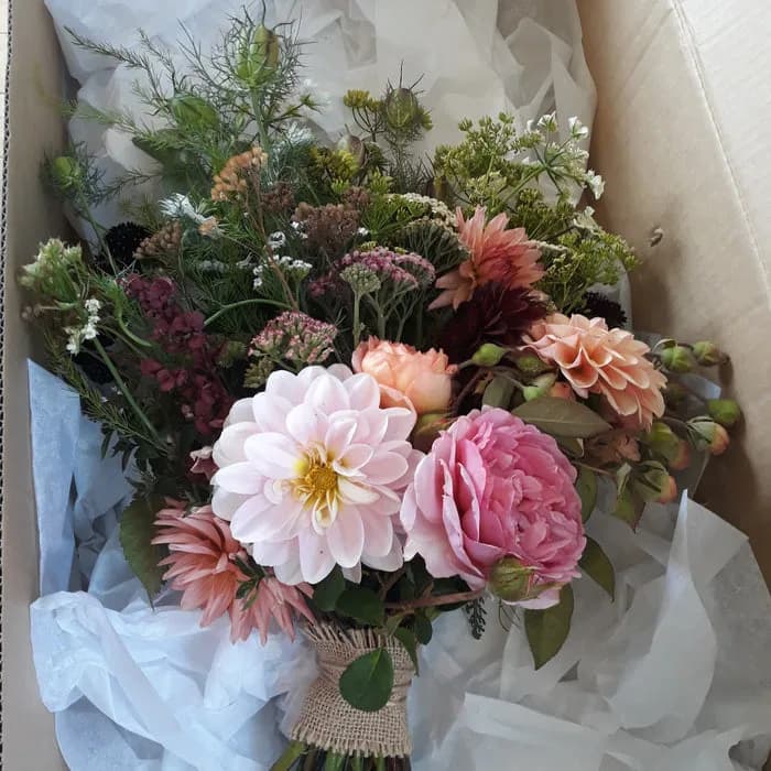 Wellington Flower Collective