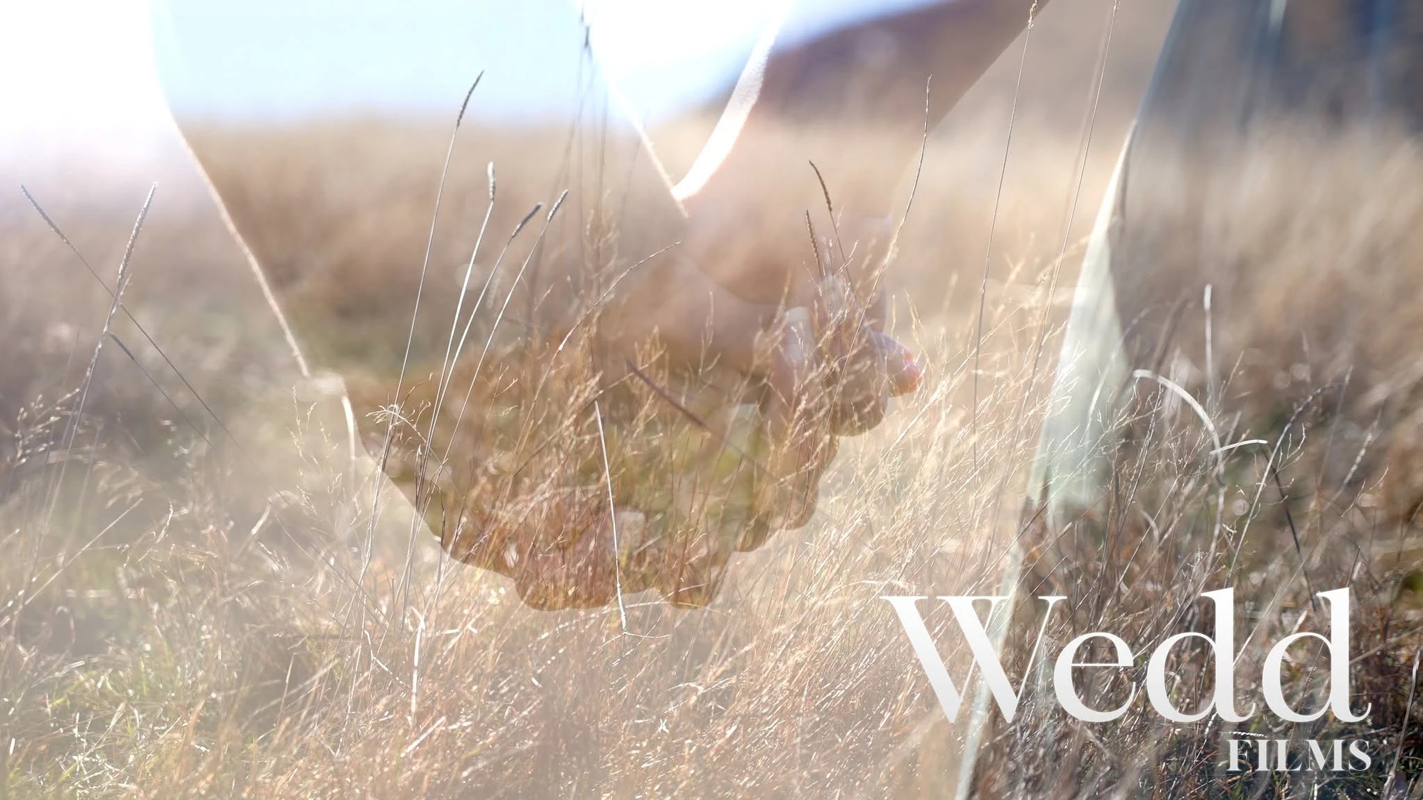 Wedd Films, Videography in Wānaka