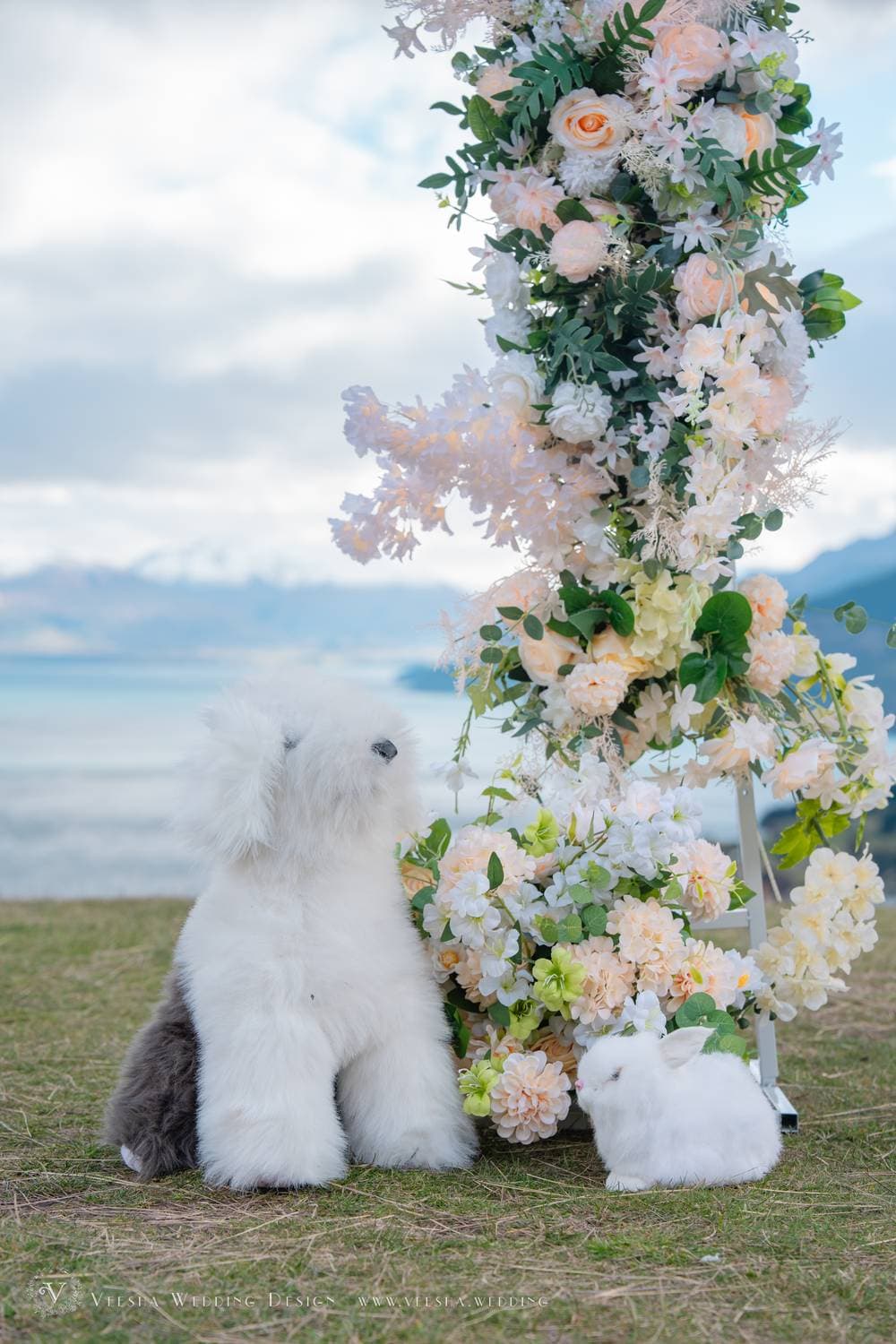 Veesha Wedding