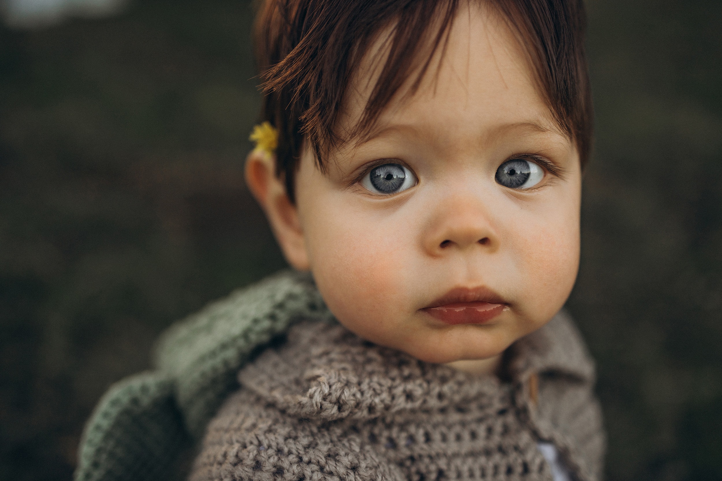 Maria Wilkens Photography cover photo