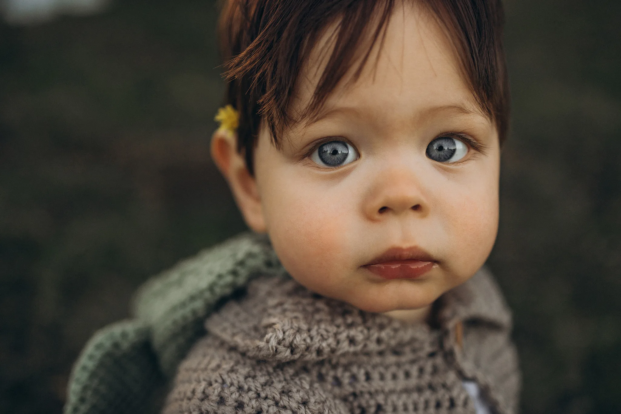 Maria Wilkens Photography