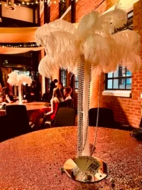 Phoenix Decoration Hire