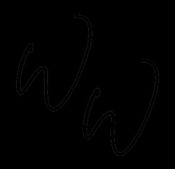 Wandering Willow logo