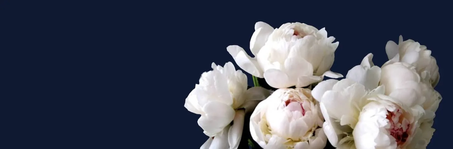 The Flower Vault