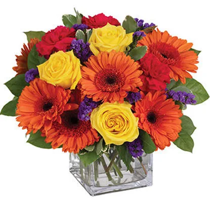 Blenheim Florist Works