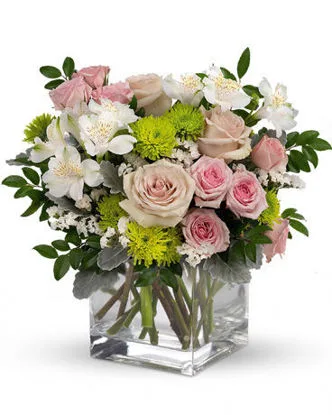 Blenheim Florist Works