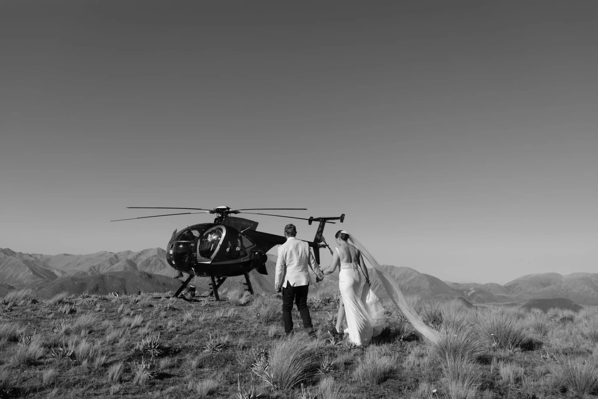 Tie the Knot with Ollie