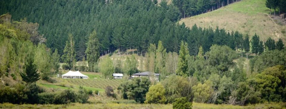 Marquees Over Hawke's Bay