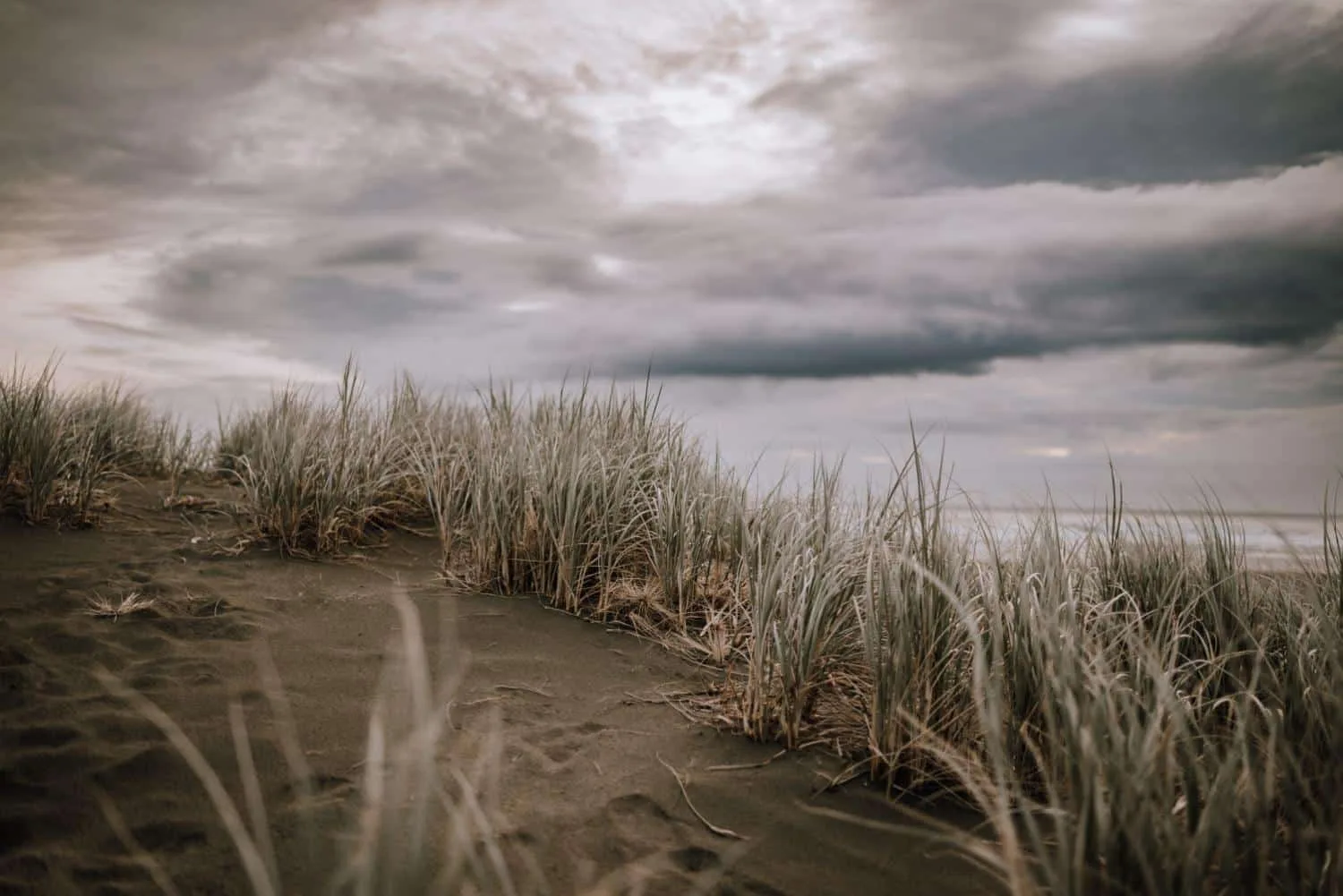 Chanel Griffin Photography