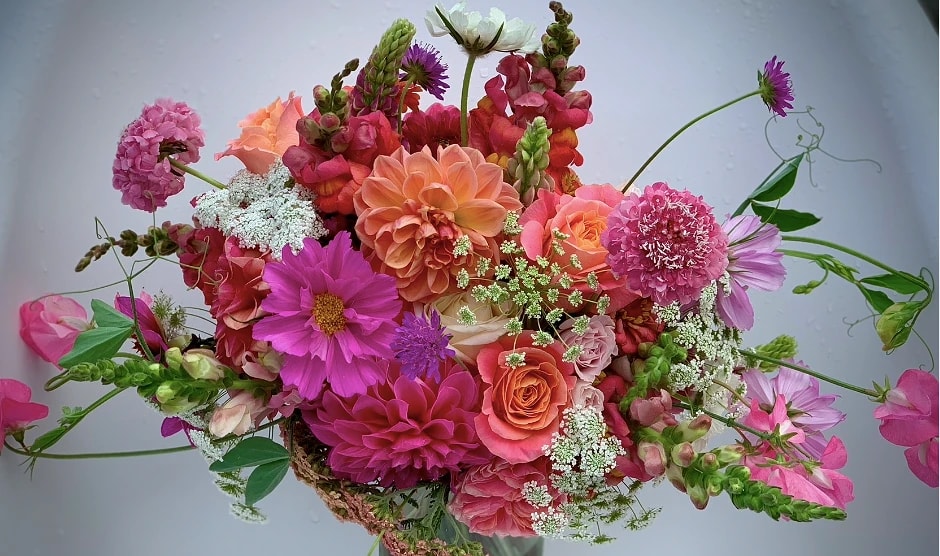Foxglove Florist, Florists in Christchurch