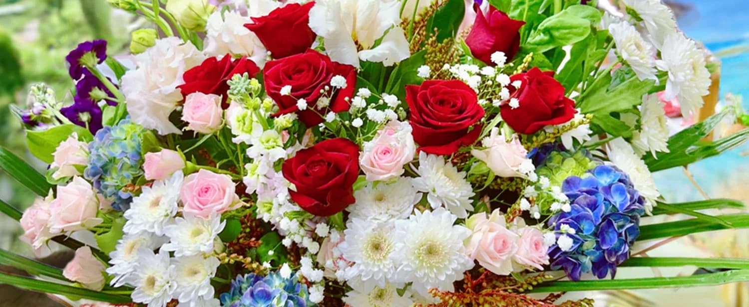 Living Colour Florist