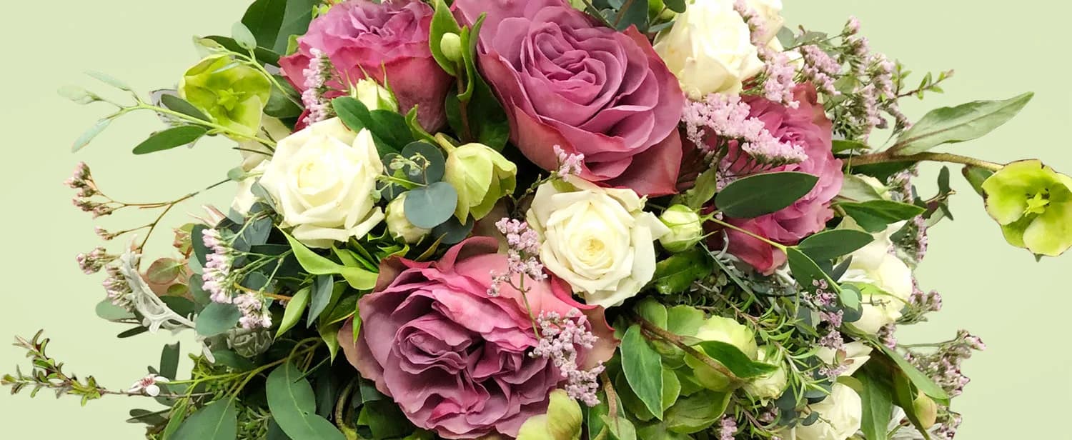 Living Colour Florist