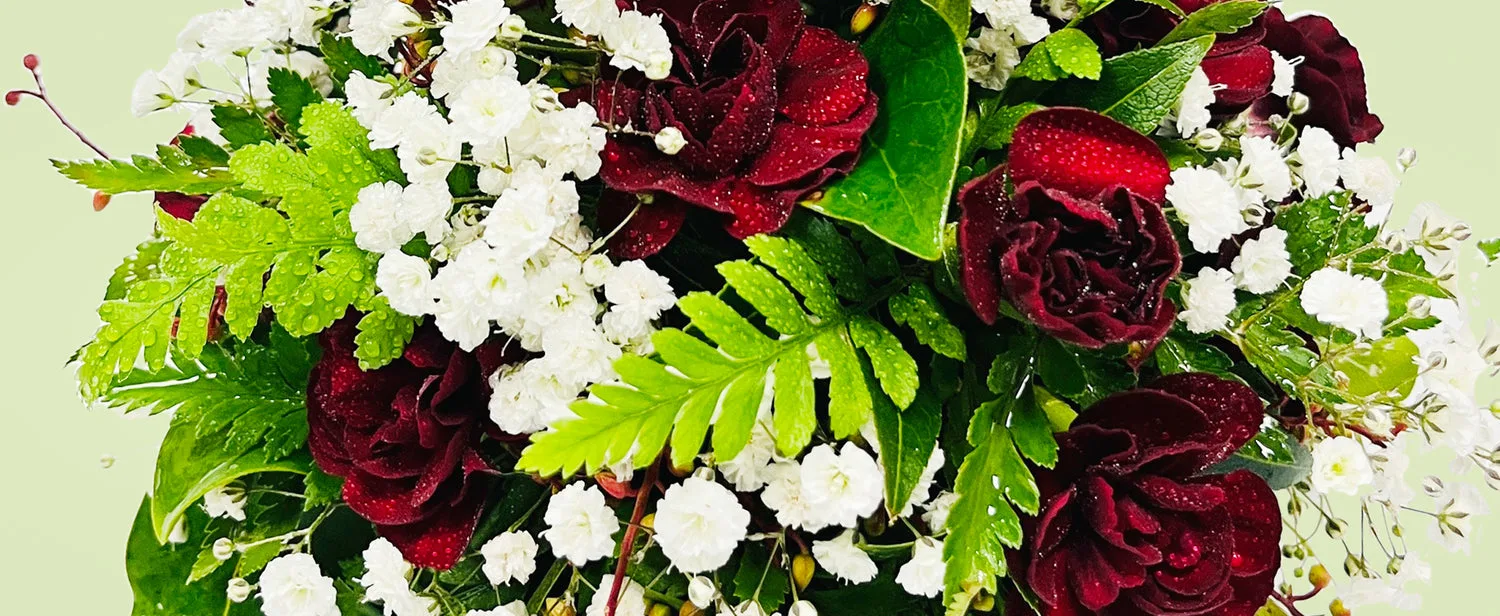 Living Colour Florist