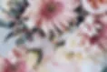 Floral Collaborative