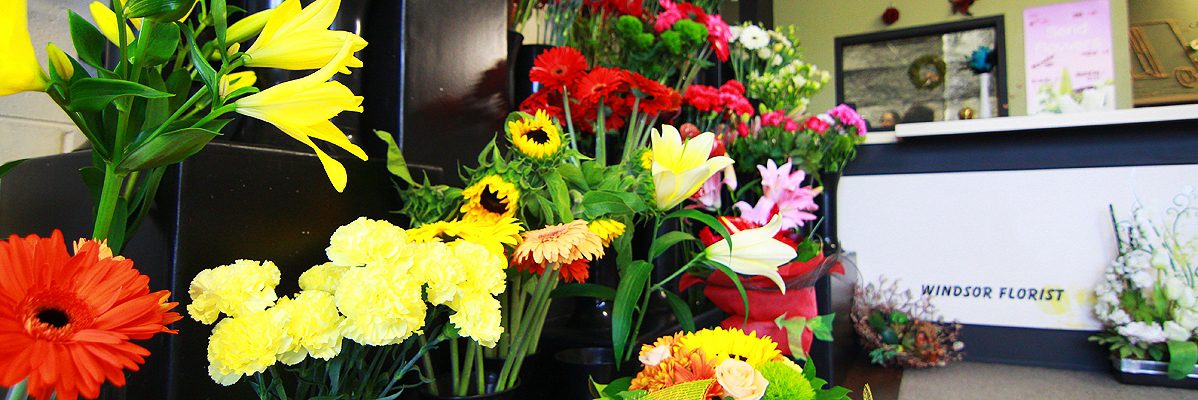 Windsor Florist cover photo