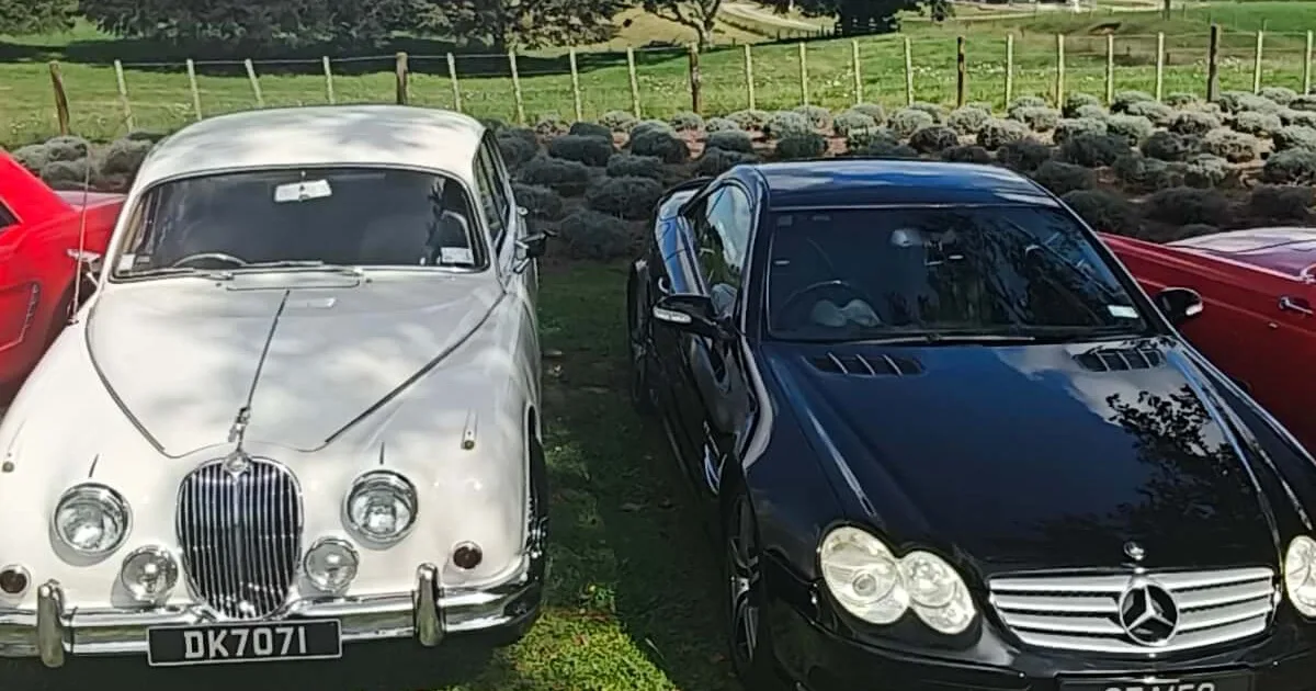 Classic Car Tours Waikato
