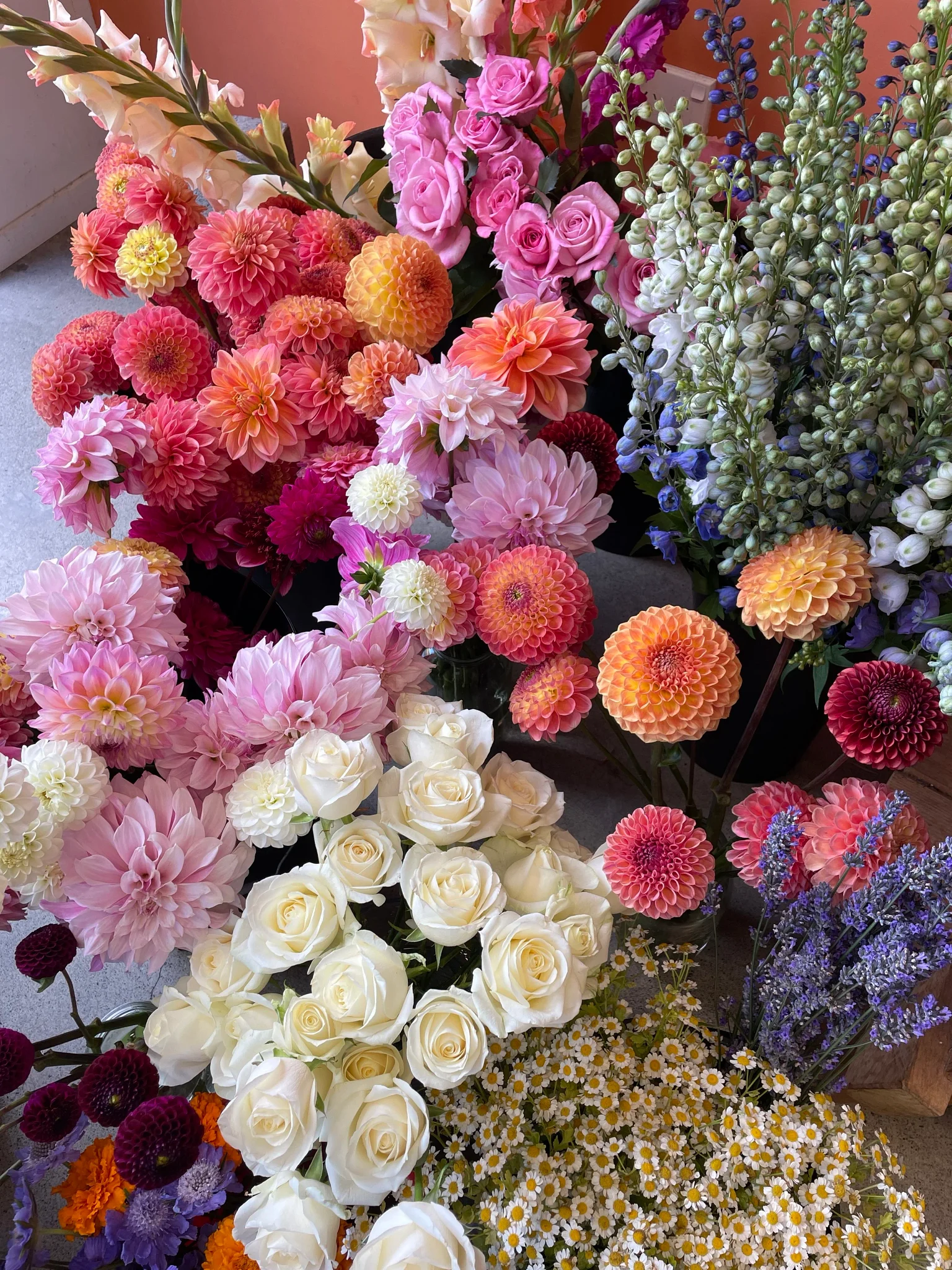 Bunch Floral, Florists in Christchurch