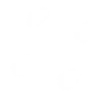 Button's Florist