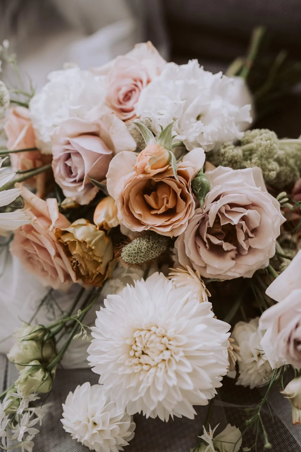 Suzette May Florist