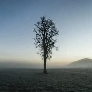 Nimmo Photography