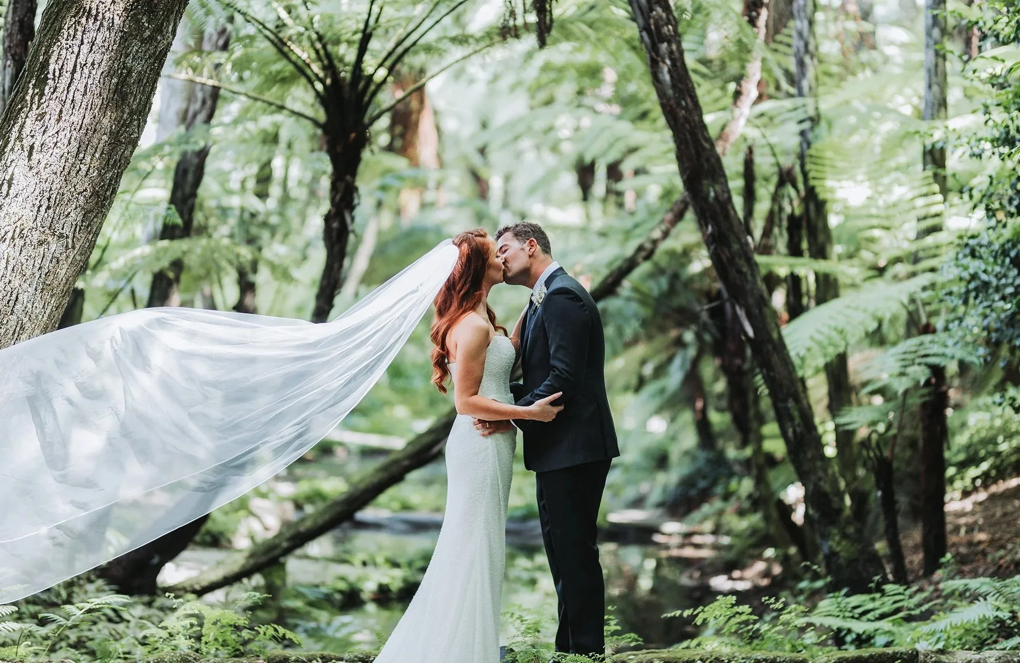 David R Dunham Photography