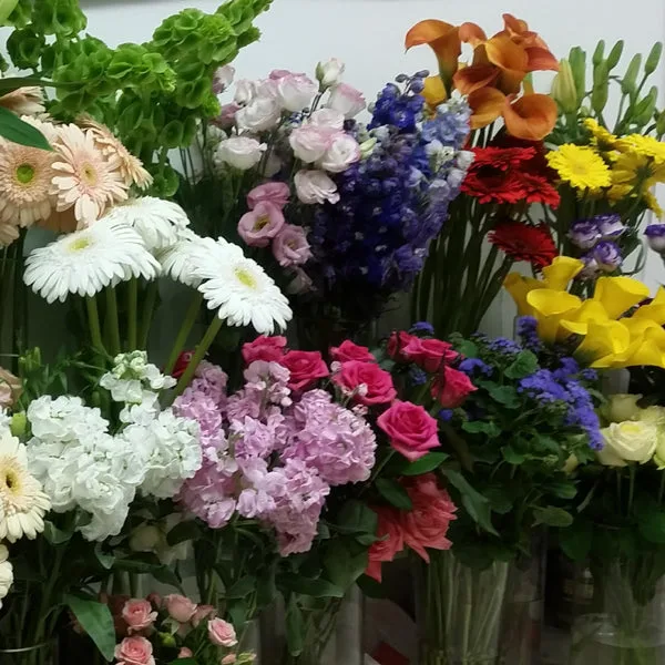 Flowers Everywhere