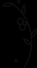 Blissful Events