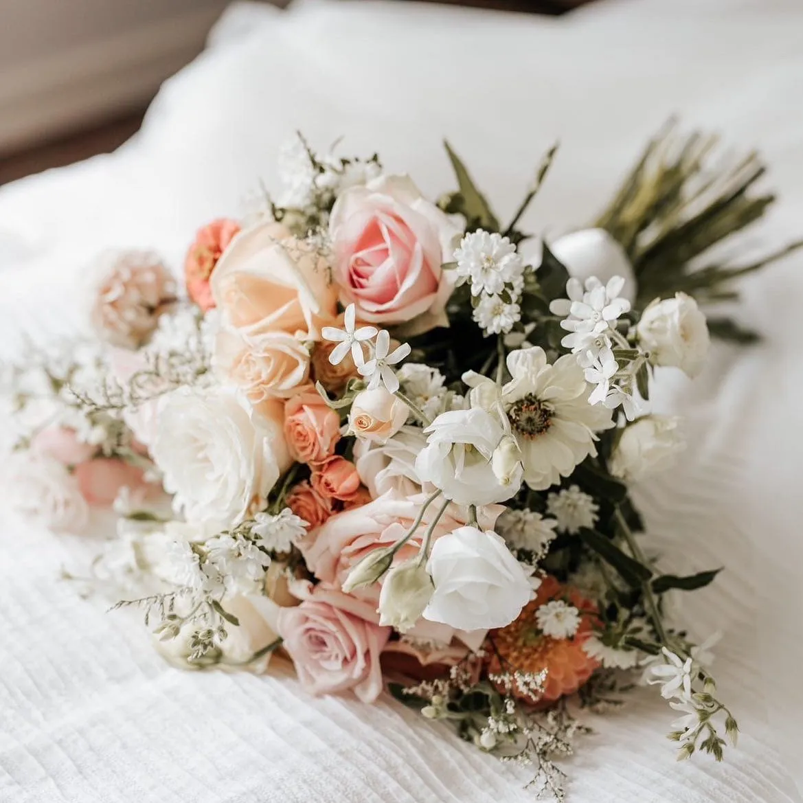 Floralessence, Florists in Grey Lynn