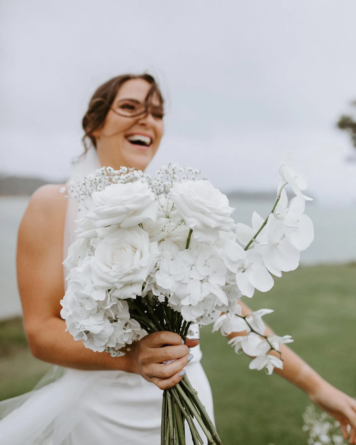 Little Leaf Florals, Florists in Whangārei