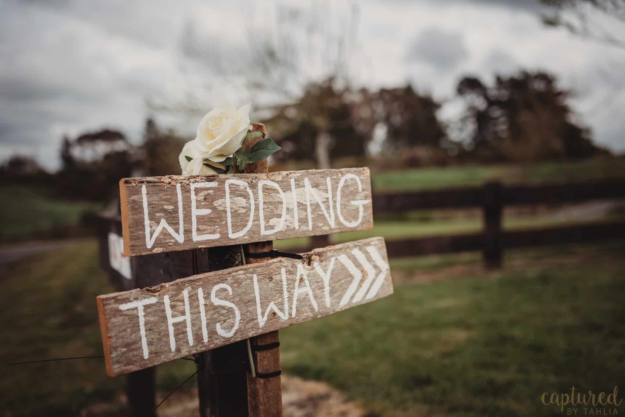 Luna Creative, Hire & Styling