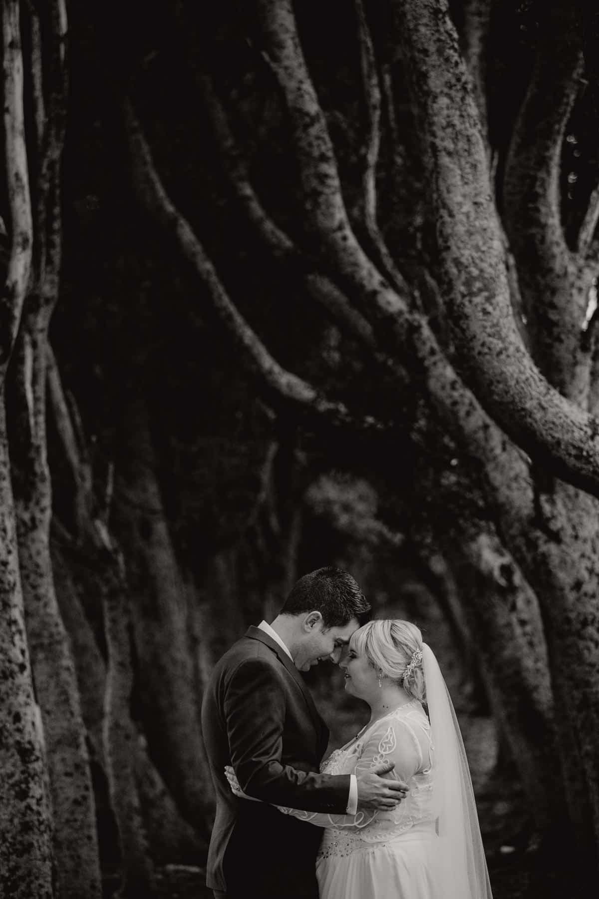 Sarah Weber Photography, Photographers in Auckland