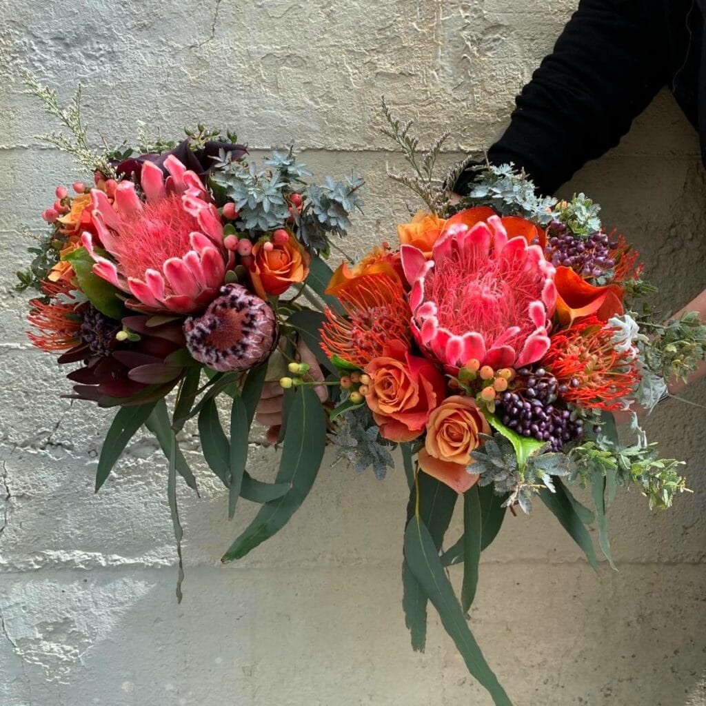 Court Florist Cover|Court Florist Logo