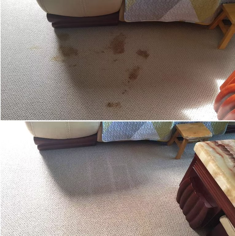 carpet cleaning.jpg
